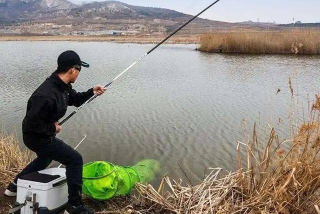 晚秋釣鯉魚用什么魚餌_晚秋鯉魚怎么釣_晚秋怎樣釣鯉魚