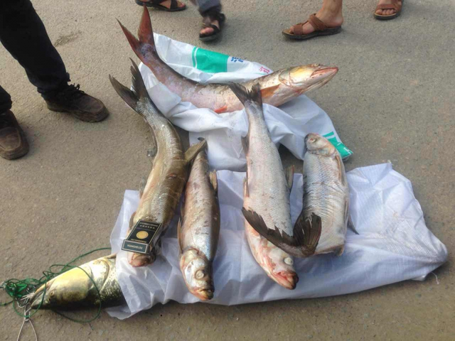 海釣大魚視頻路亞_海釣路亞視頻大全集_大海路亞教學視頻1