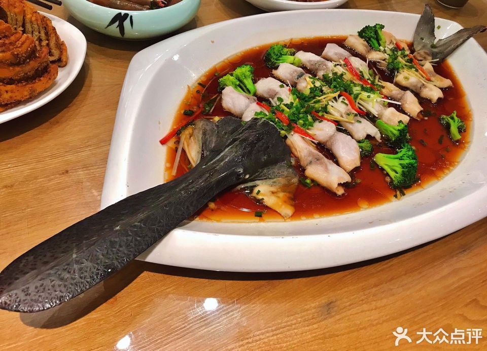 鴨嘴魚的外形真的很奇葩好嗎魚清蒸是非常不錯