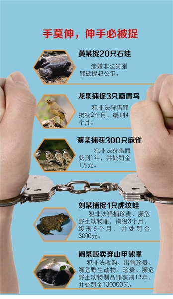鱷魚能吃嗎_鱷魚能吃不_鱷魚能吃嗎違法嗎