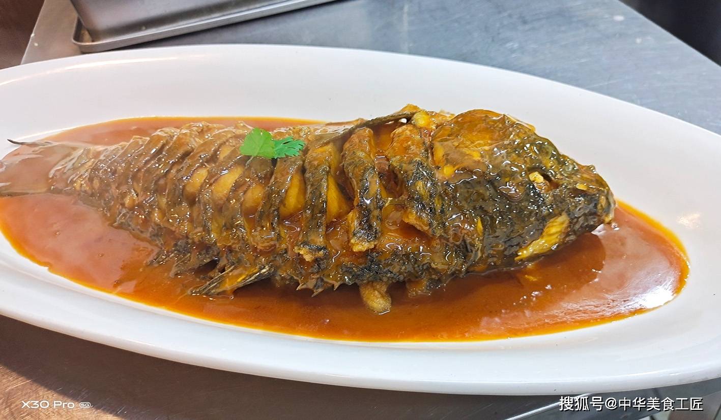 黃河鯉魚哪里最正宗_黃河鯉魚_黃河鯉魚多少錢一斤