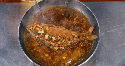 黃河鯉魚和普通鯉魚的區別_黃河鯉魚多少錢一斤_黃河鯉魚