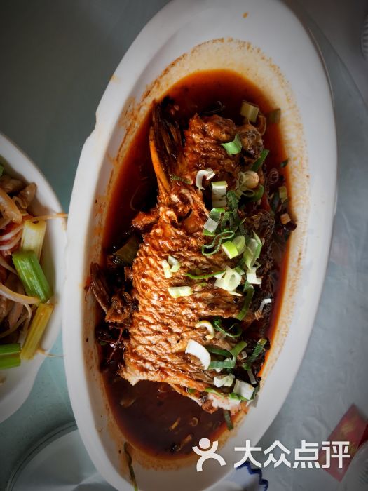 黃河鯉魚_黃河鯉魚和普通鯉魚的區別_黃河鯉魚怎么做最好吃
