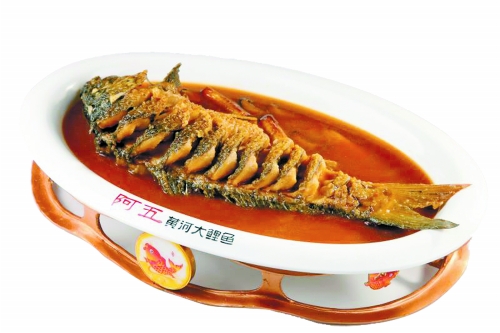 黃河鯉魚_黃河鯉魚和普通鯉魚的區別_黃河鯉魚怎么做最好吃