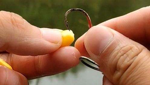 釣鯉魚用幾號鉤_鉤釣鯉魚用什么料_鉤釣鯉魚用什么餌料最好