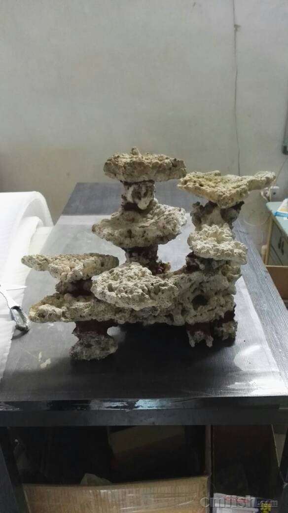 第七屆全國大學生水族箱造景技能大賽落下帷幕