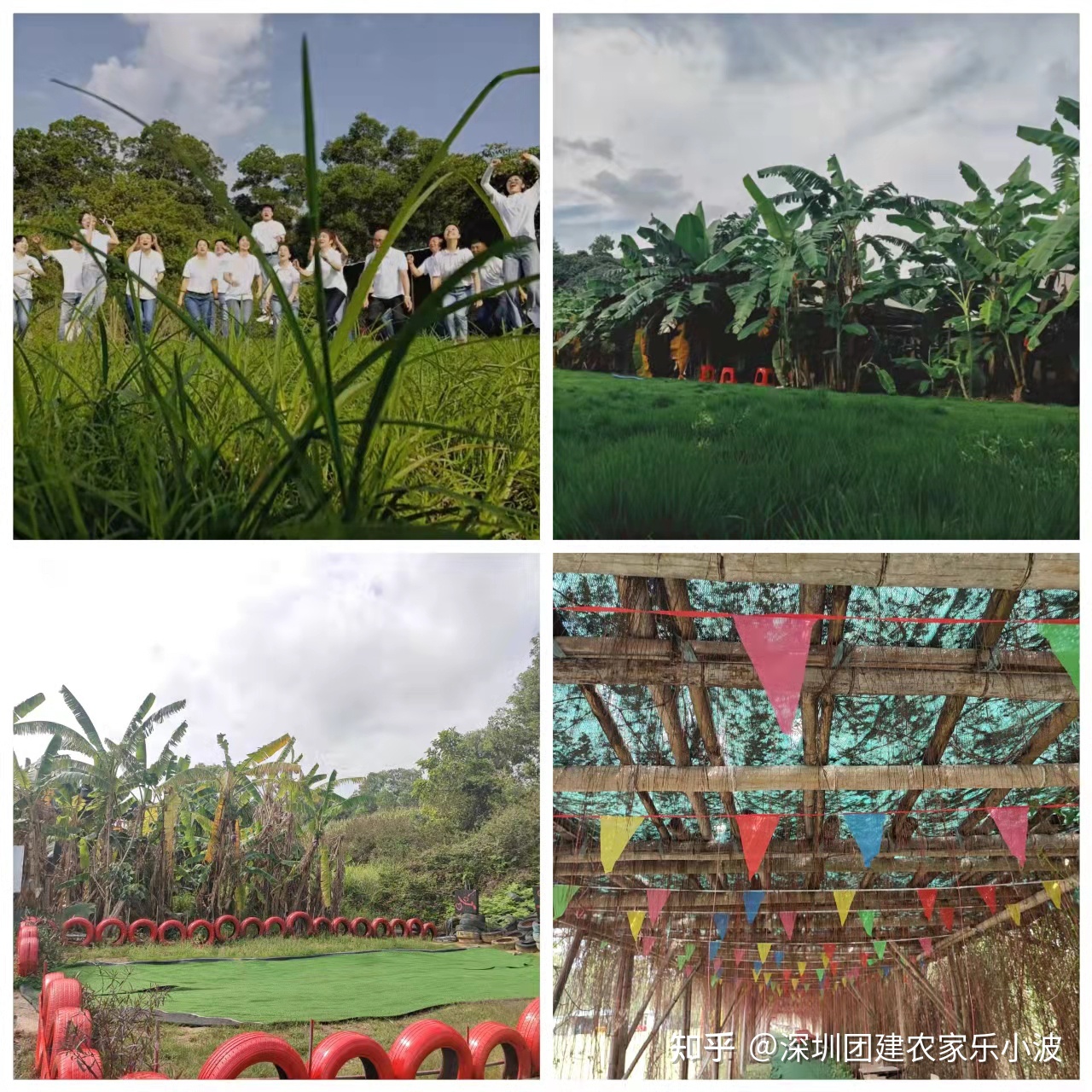 深圳農家樂餐廳_深圳農家樂_農家樂深圳