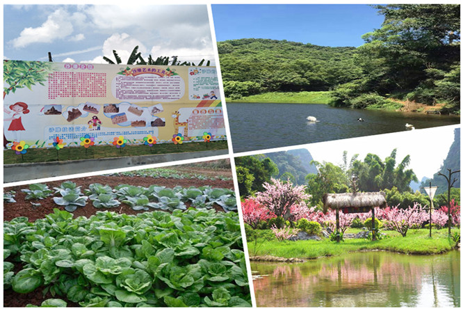深圳農家樂_深圳農家樂餐廳_深圳農家樂一日游視頻