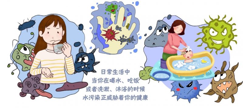魚鰭潰爛_魚鰭爛了怎么治療_魚爛鰭