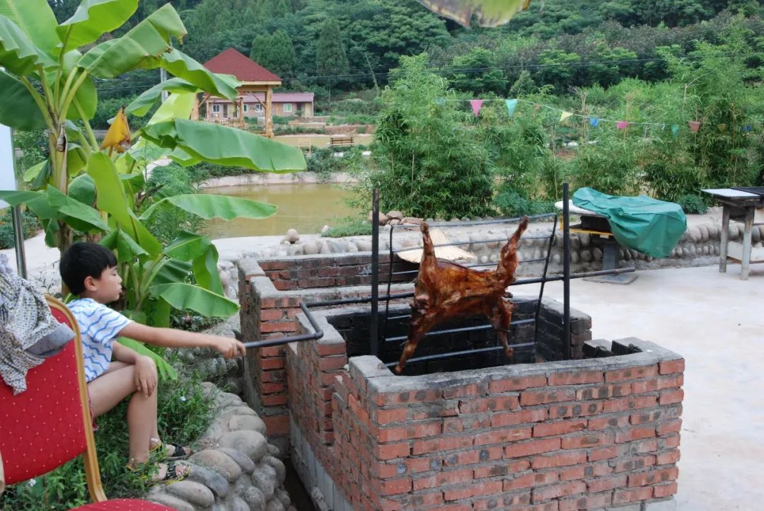深圳農家樂餐廳_農家樂深圳_深圳農家樂