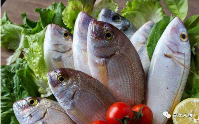魽魚是什么魚_魚是發物嗎_魚是動物嗎