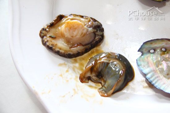 鮑魚屬于動物_鮑魚屬于什么類型動物_鮑魚屬于哪種動物類群