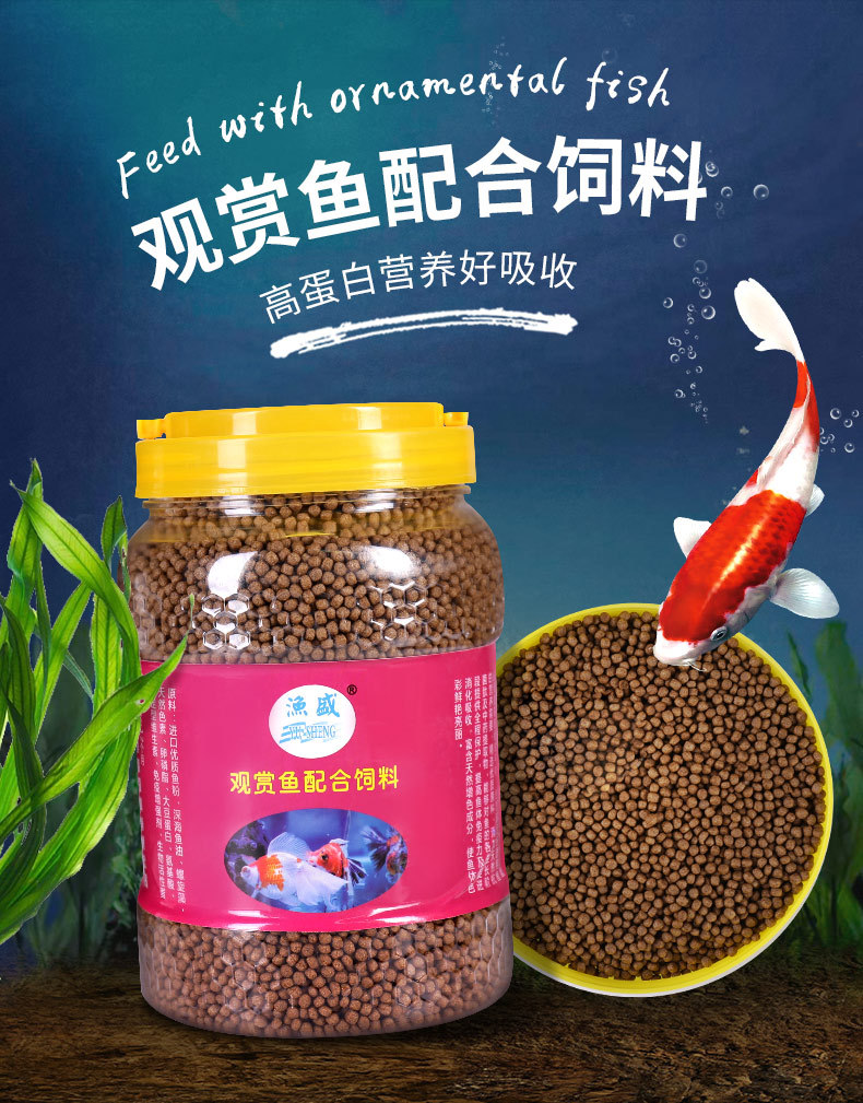 錦鯉養殖_怎樣養殖錦鯉_養殖錦鯉魚一年利潤