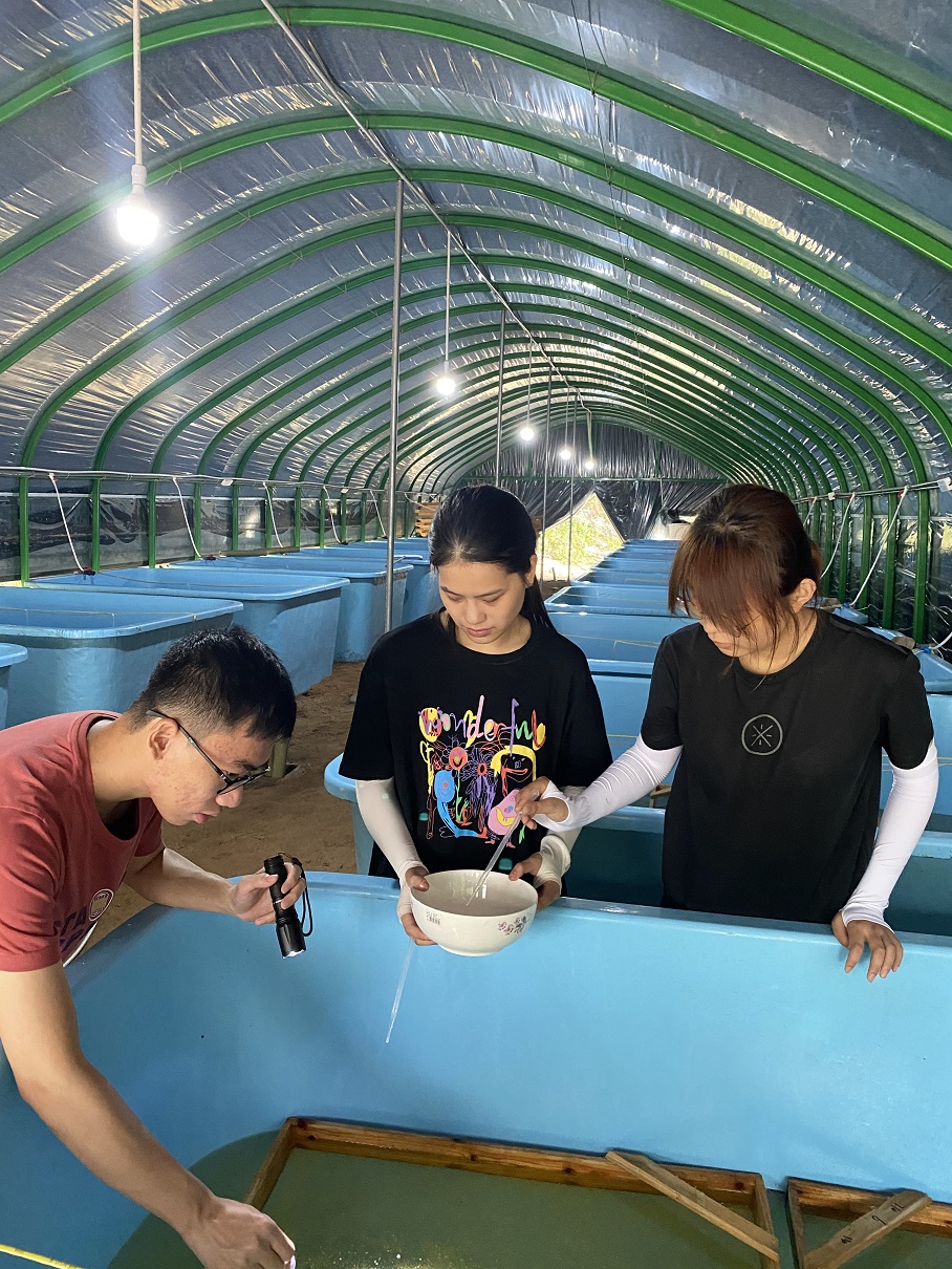 怎樣養殖錦鯉_錦鯉養殖_養殖錦鯉魚一年利潤