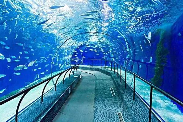 2021廣州海洋館_2020年廣州海洋館開業了嗎_廣州海洋館