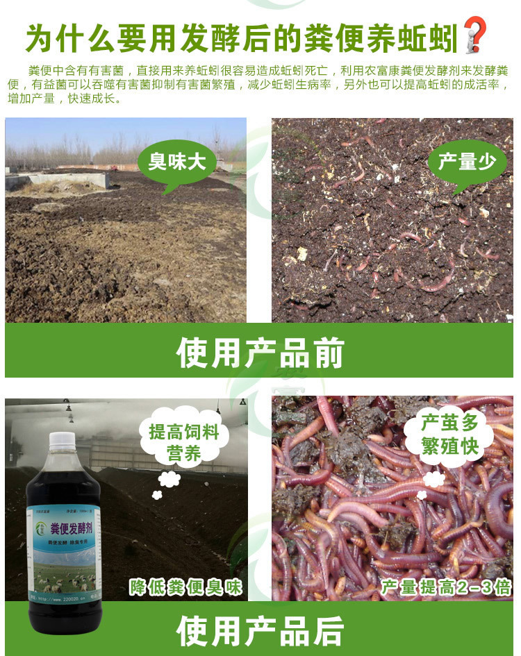 蚯蚓吃什么_蚯蚓吃什么如何喂養_蚯蚓吃什么的