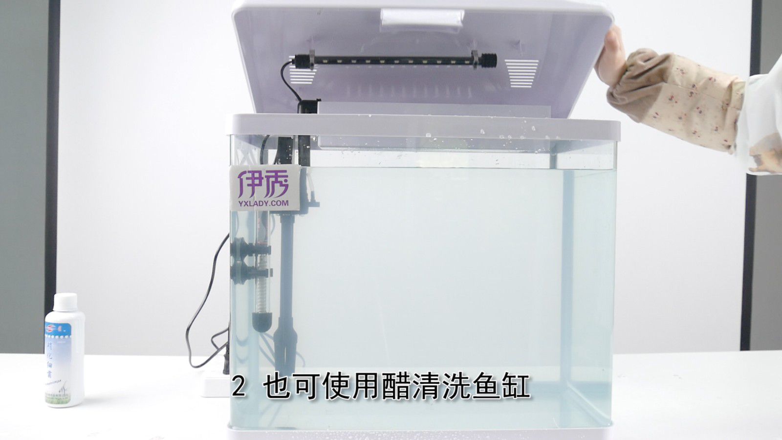 如何清潔魚缸才能簡單有效又不對魚兒們產生壞的影響