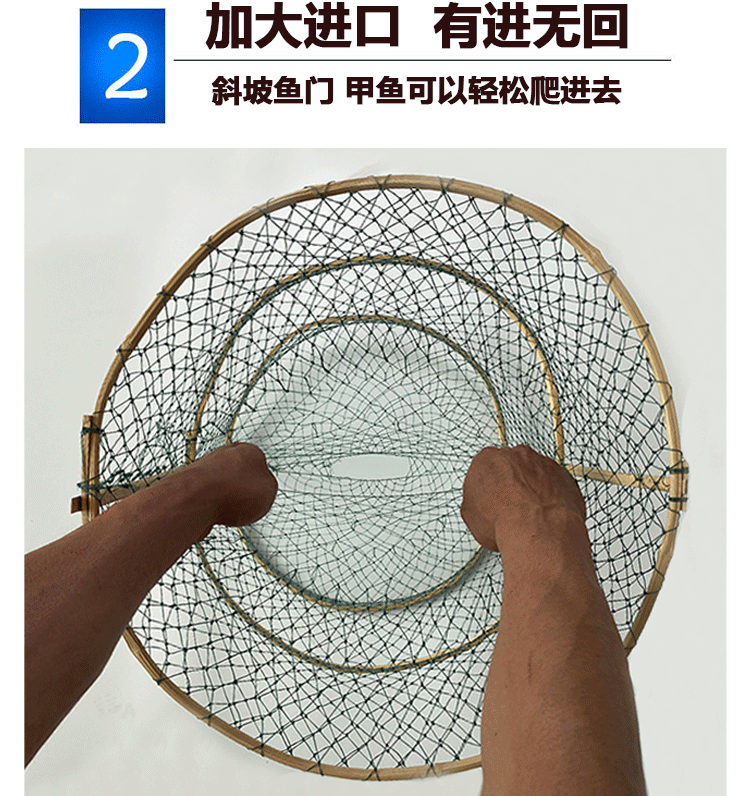 黃金鯽魚魚苗批發_黃金鯽魚能長多大_黃金鯽魚苗