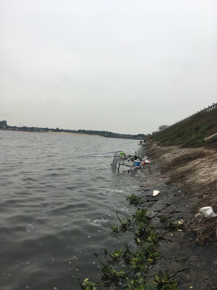 武漢釣魚圈貼吧_武漢釣魚圈_武漢釣魚圣地
