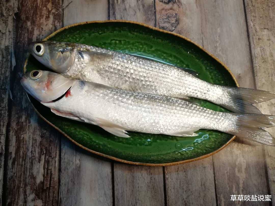 烏雞鲅魚到底是什么意思？你知道嗎？|漲姿勢