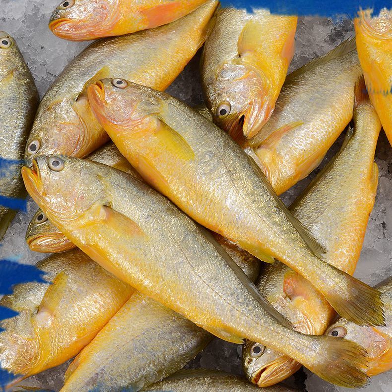 黃花魚怎么做最好吃_黃花魚_黃花魚的家常做法簡單