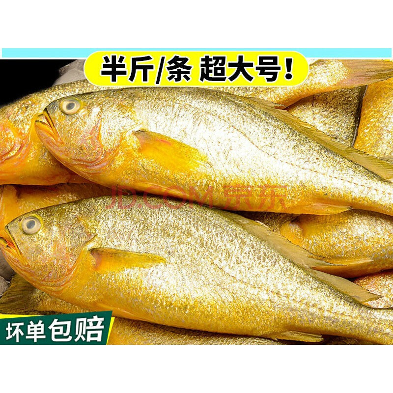黃花魚_黃花魚的家常做法簡單_黃花魚怎么做最好吃