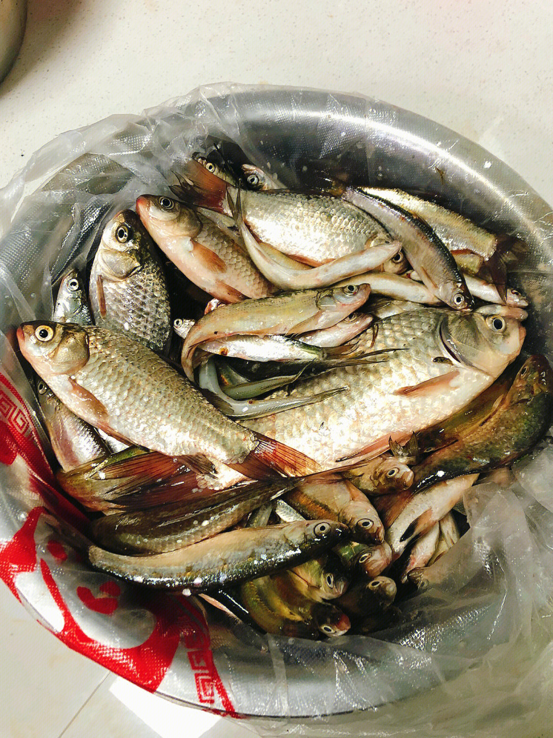黃花魚_黃花魚的家常做法簡單_黃花魚圖片