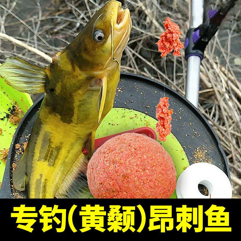 釣鯉魚用什么餌料_釣鯉魚專用餌料_專釣鯉魚餌料