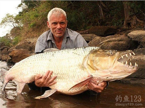 珠寶魚竿屬性_珠寶魚竿_珠寶魚竿怎么來的