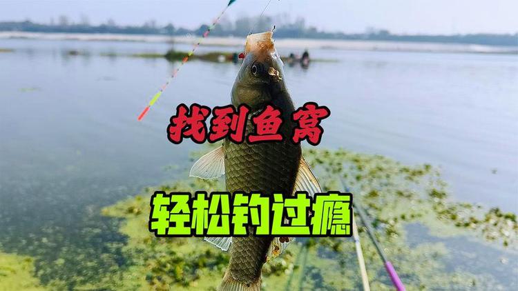 釣魚浮漂怎么調準確_釣魚浮漂_釣魚浮漂吃鉛量怎么選擇