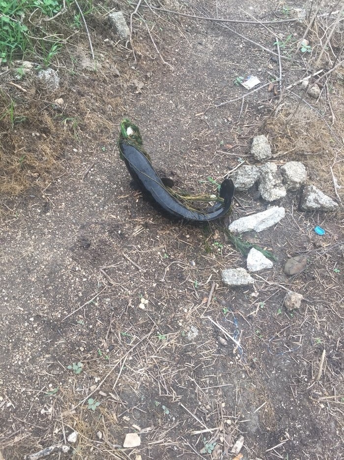 黑魚路亞用什么餌最好_路亞黑魚實用技巧大全_路亞黑魚教學視頻教程手法
