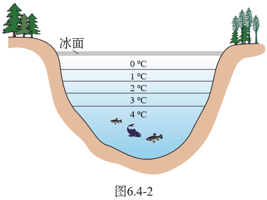魚生小魚_小魚生寶寶該怎么辦_小魚生魚寶寶前的狀態