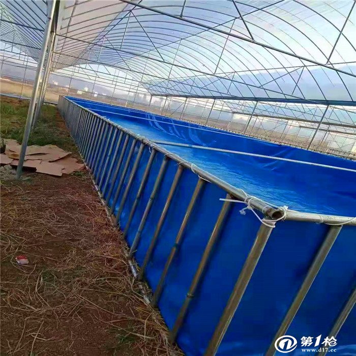 養殖黃鱔技術在哪里可以學到_黃鱔養殖_養殖黃鱔怎么建池