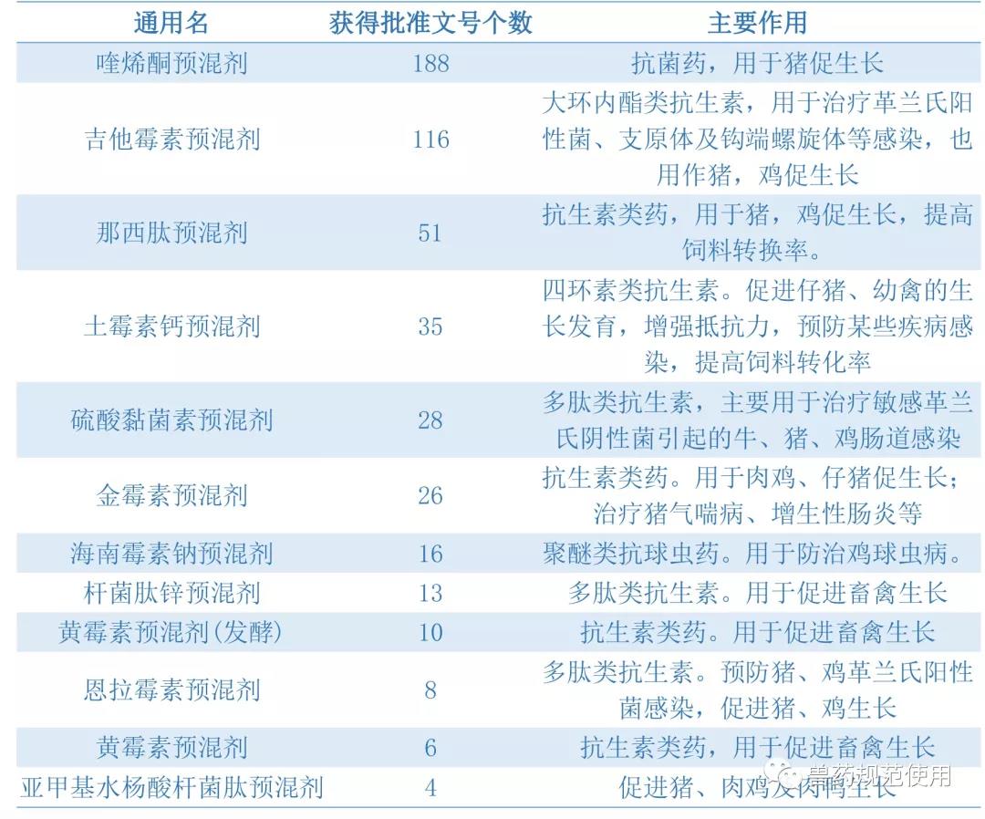 野生石金錢龜可以養嗎？養殖許可證怎么養？