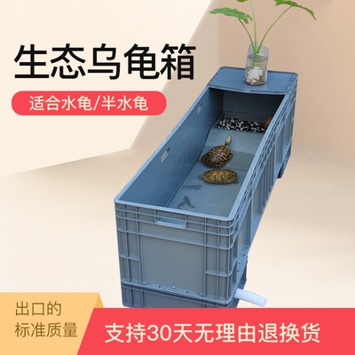 養金錢龜犯法嗎_金錢龜怎么養_養金錢龜的六大禁忌