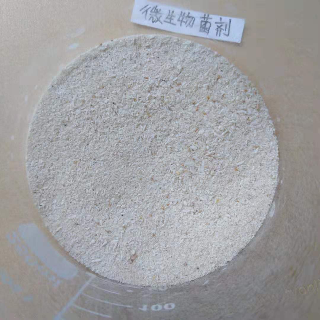 硝化細菌培養_細菌培養硝化實驗報告_硝化細菌培養