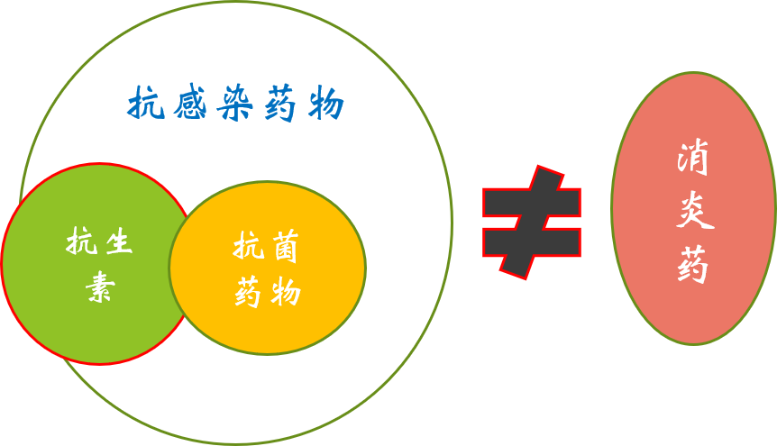 斑點叉尾鮰_斑點叉尾鮰病害_斑點叉尾鮰病