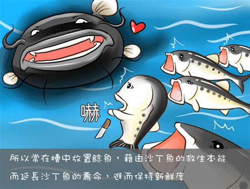 鯰魚效應是什么意思_鯰魚效應等各種效應_鯰魚效應本質