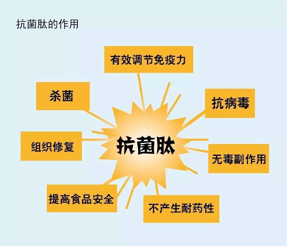 光滑爪蟾 中國專利：抗菌肽與革蘭陰性菌外膜的抗菌活性