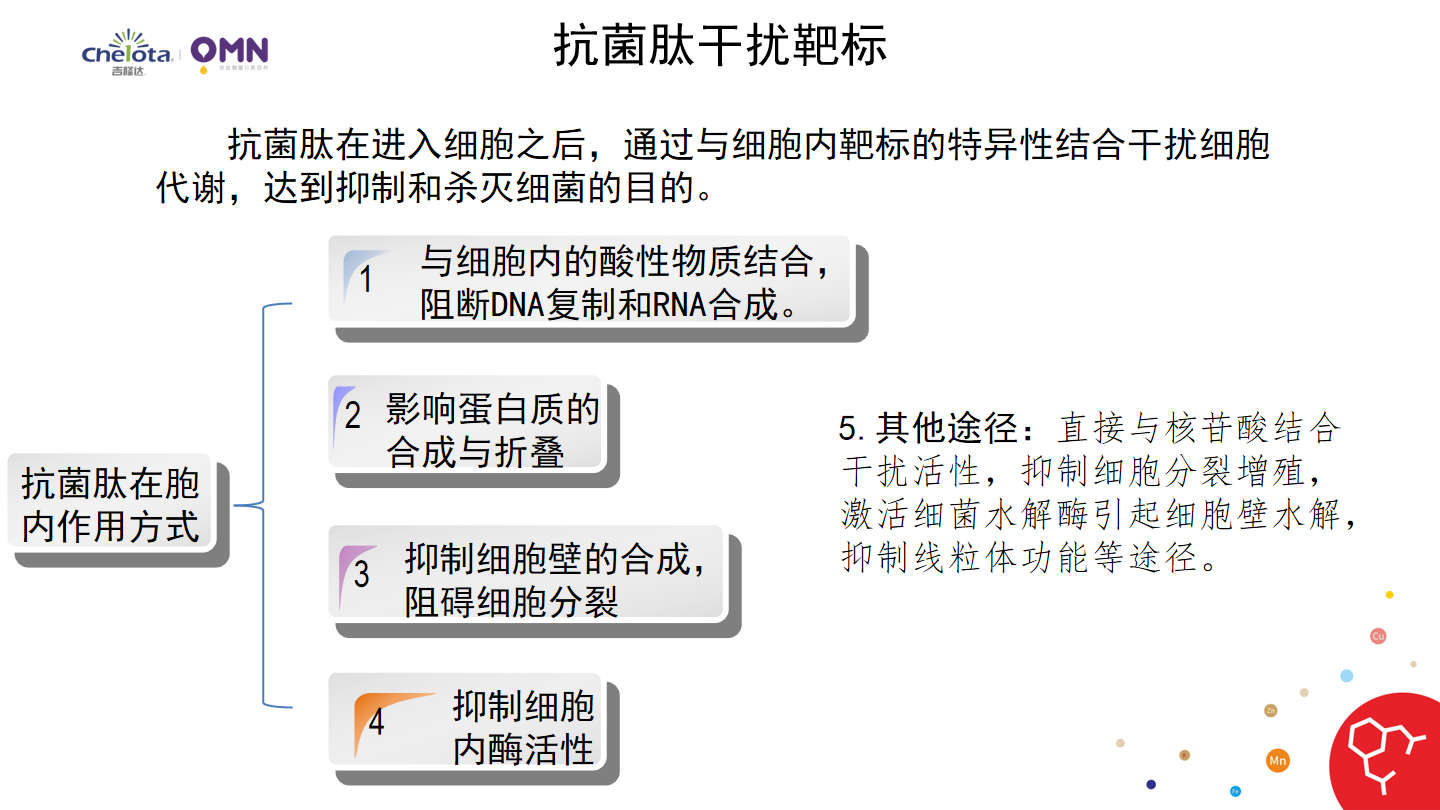光滑爪蟾有毒嗎_光滑爪蟾_光滑爪蟾怎么養