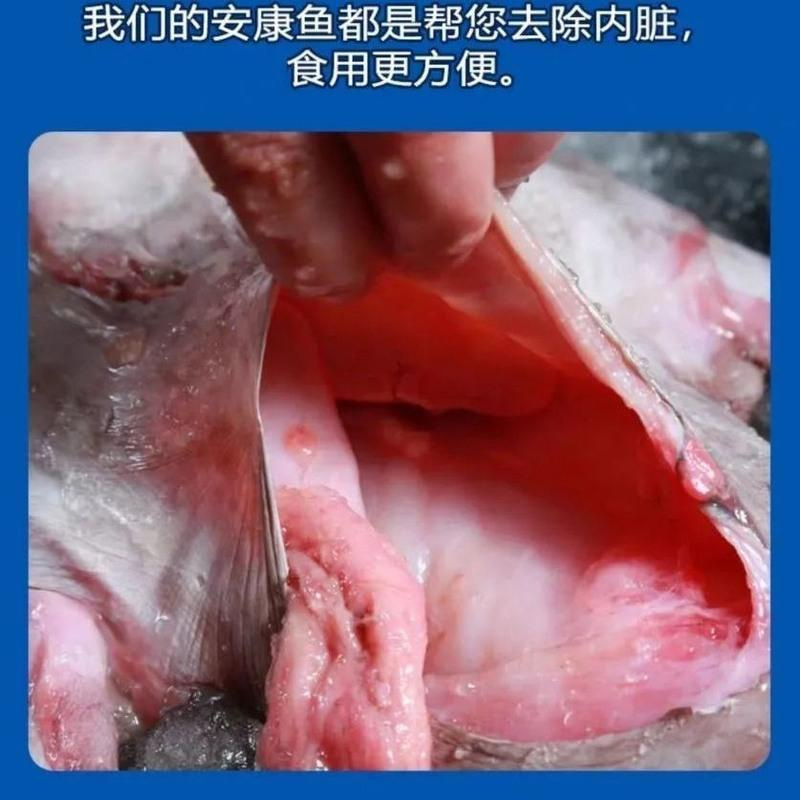 龍利魚活魚價格_龍利魚價格_魚龍利魚