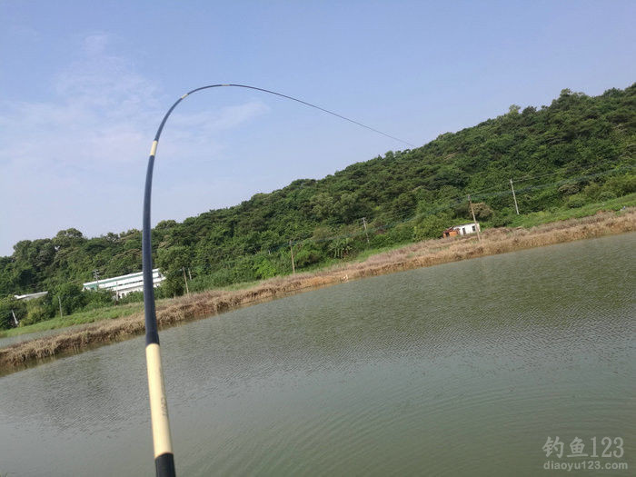 手竿立漂調漂方法圖解_滑漂調漂找底圖解_調漂圖解