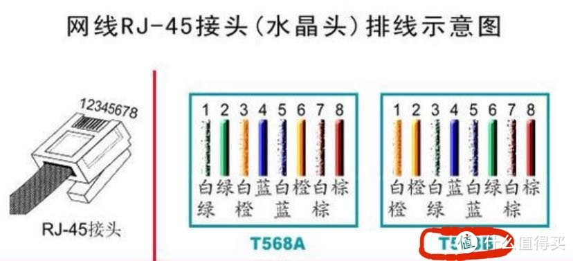 四大家魚是什么_魚是海鮮嗎_魚是什么動物類型