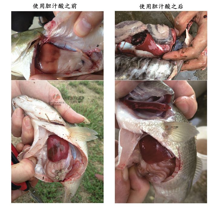魚好處和壞處_吃魚的好吃_吃魚的好處