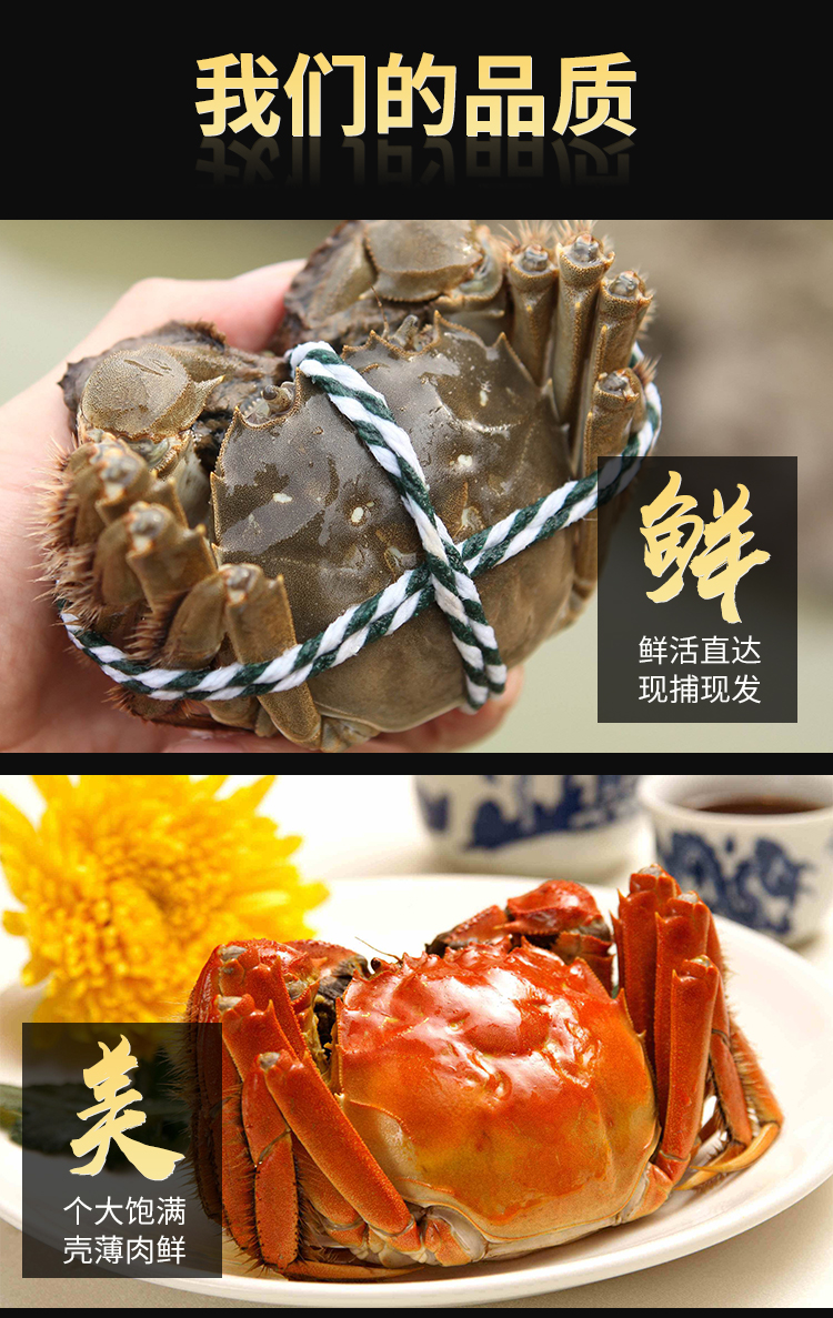 梁子湖螃蟹哪里好吃_梁子湖螃蟹_梁子湖螃蟹介紹