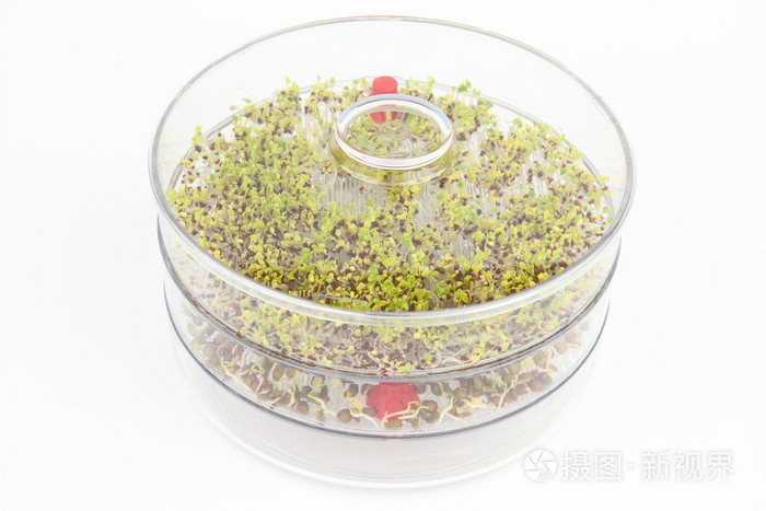 淡水魚有哪些_淡水魚有多少種_淡水魚有寄生蟲嗎
