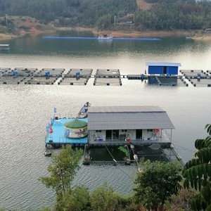 鉤尖江湖_鉤尖江湖魚竿怎么樣_鉤尖江湖漁具有限公司