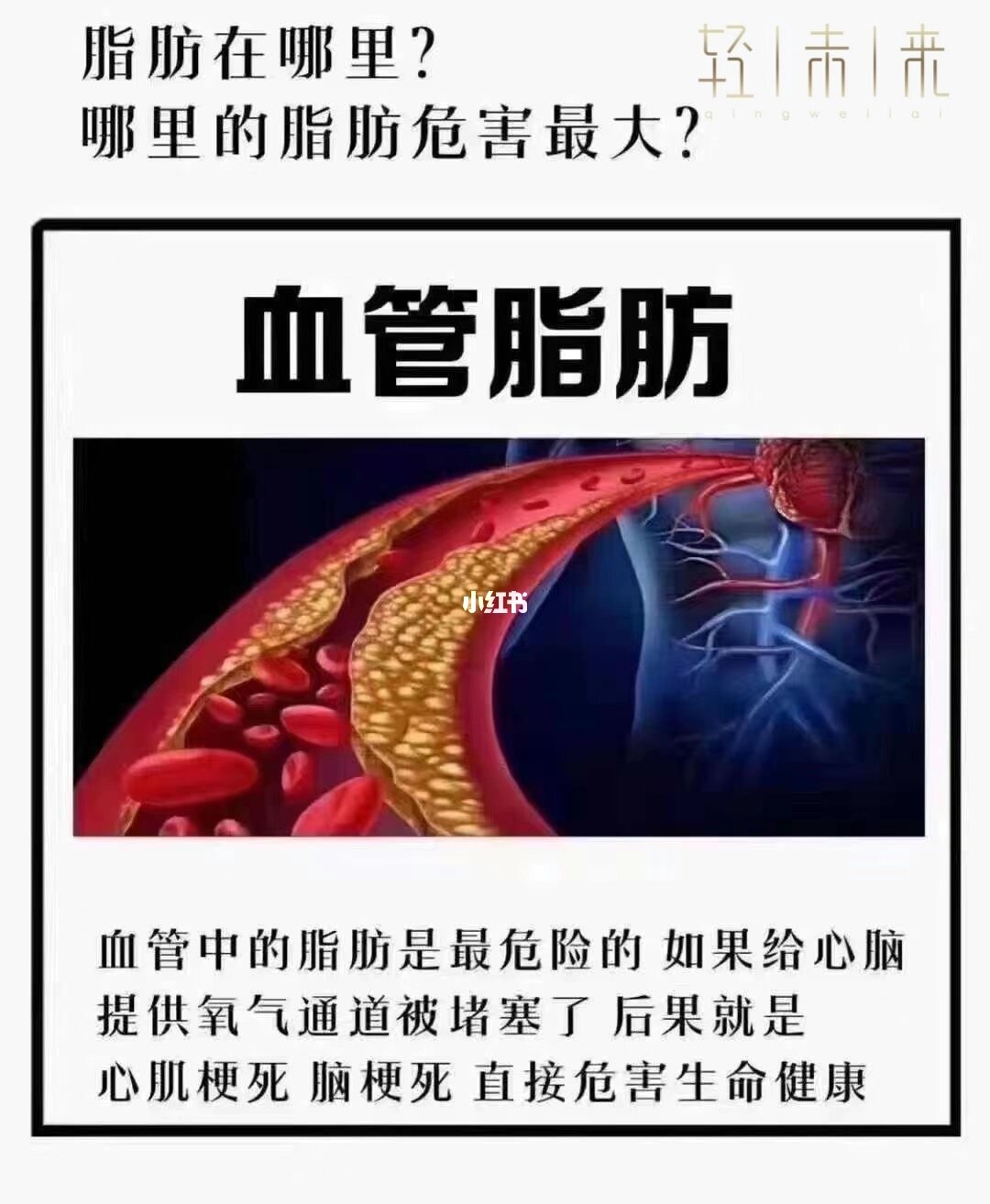長江刀魚_長江刀魚_長江刀魚