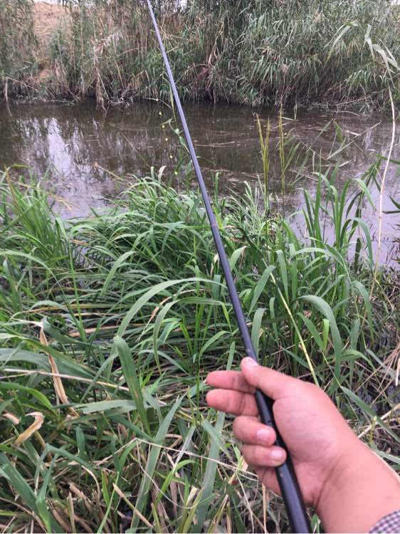 鉤釣鯽魚用多大的鉤_釣鯽魚用幾號鉤型最好_釣鯽魚用幾號鉤