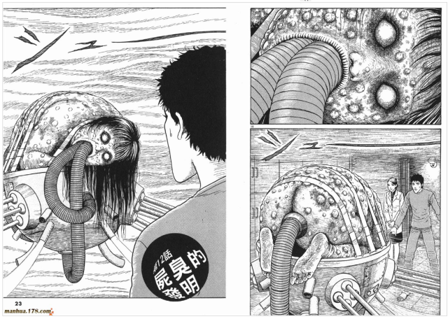 冷水魚清道夫_清道夫魚_外來物種魚清道夫